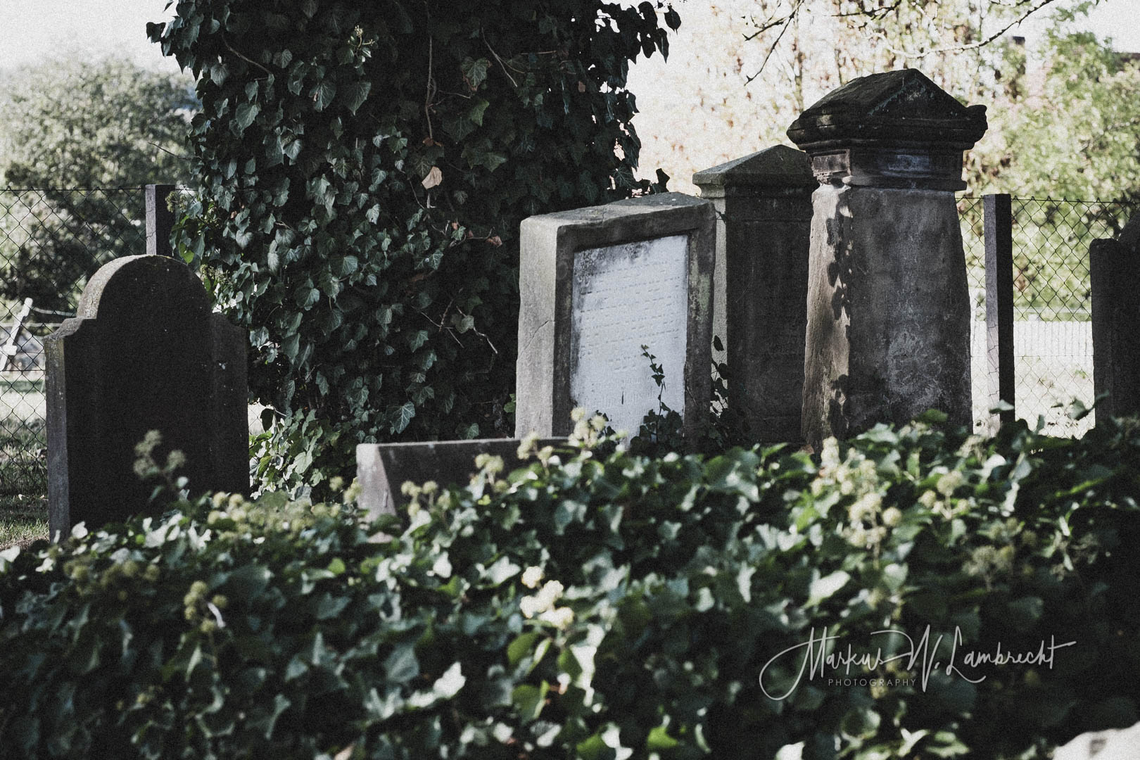 Peckelsheim, Jüdischer Friedhof